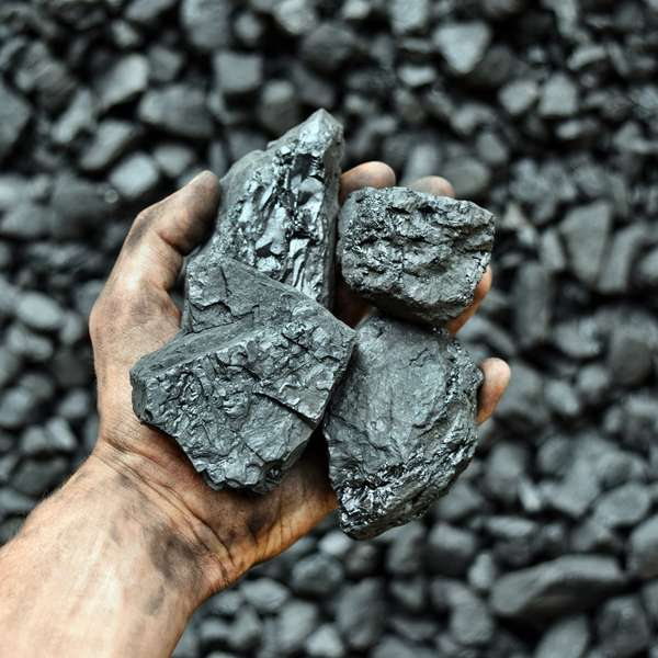 Coal  (in tons)
